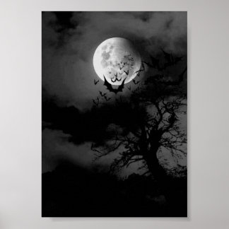 Poster Cheia lua