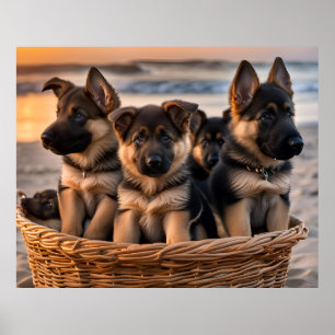 Poster Cheio de cesto de estuppias de German shepherd
