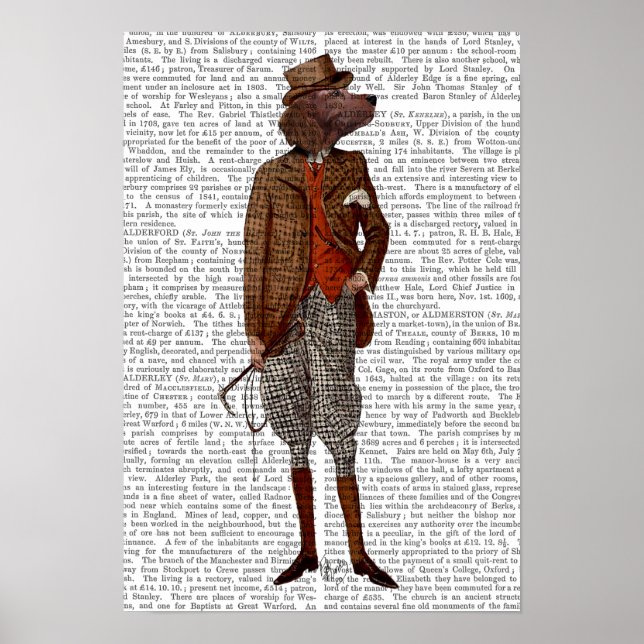 Poster Cheio do Red Setter Rider (Frente)