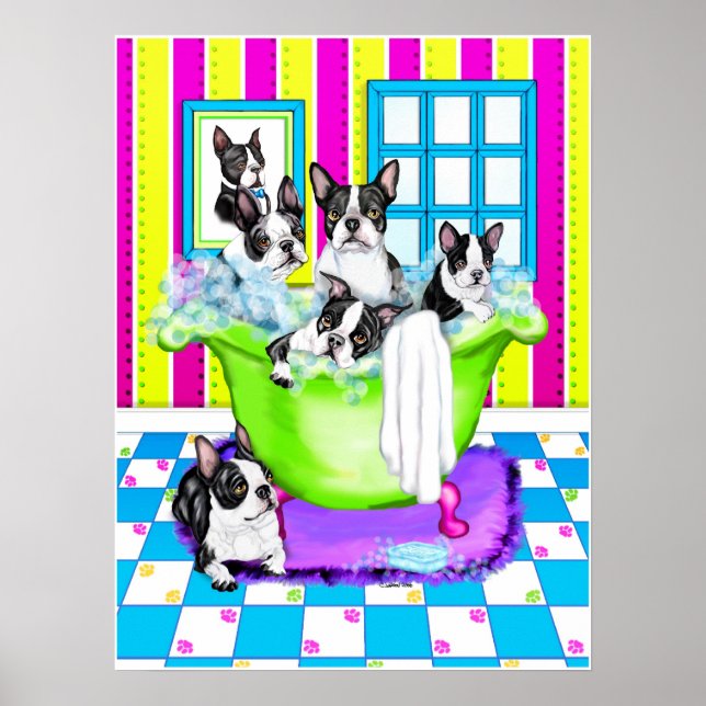 Pôster Cheio do Tub de Boston Terrier (Frente)