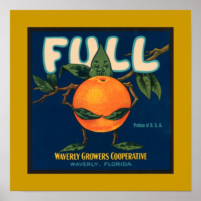 Pôster Cheio - Etiqueta de Taxa Laranja (Frente)