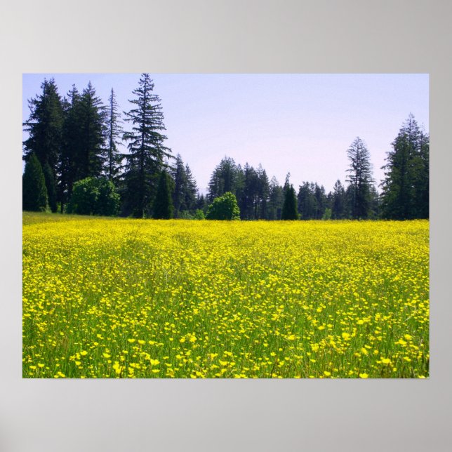 Pôster Cheio florescente (Frente)