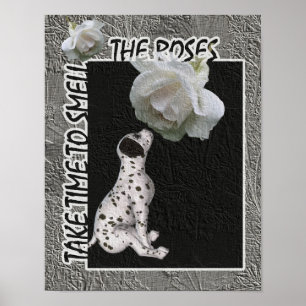 Poster Cheire Os Rosas Dalmacianos Inspiracionais