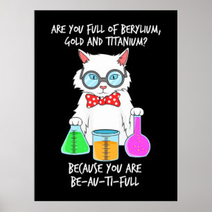 Poster Chemistry Pun Student Loves Cat