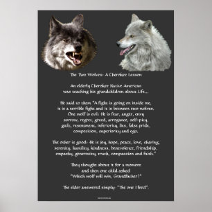 Poster CHEROKEE da arte do CONTO de DOIS LOBOS