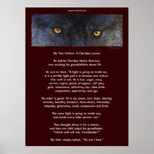 Poster CHEROKEE da arte do CONTO de DOIS LOBOS