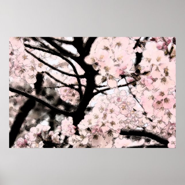Pôster Cherry Blossom Editado (Frente)