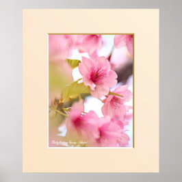 Poster Cherry blossom "Kawazu-Zakura"
