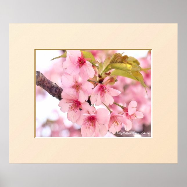 Poster Cherry blossom "Kawazu-Zakura" (Frente)