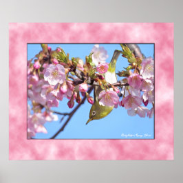 Poster Cherry blossom "Kawazu-Zakura" ポスター