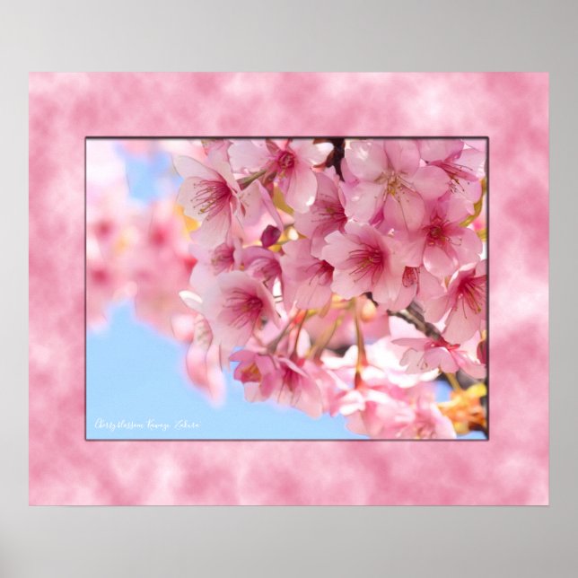 Poster Cherry blossom "Kawazu-Zakura" ポスター (Frente)