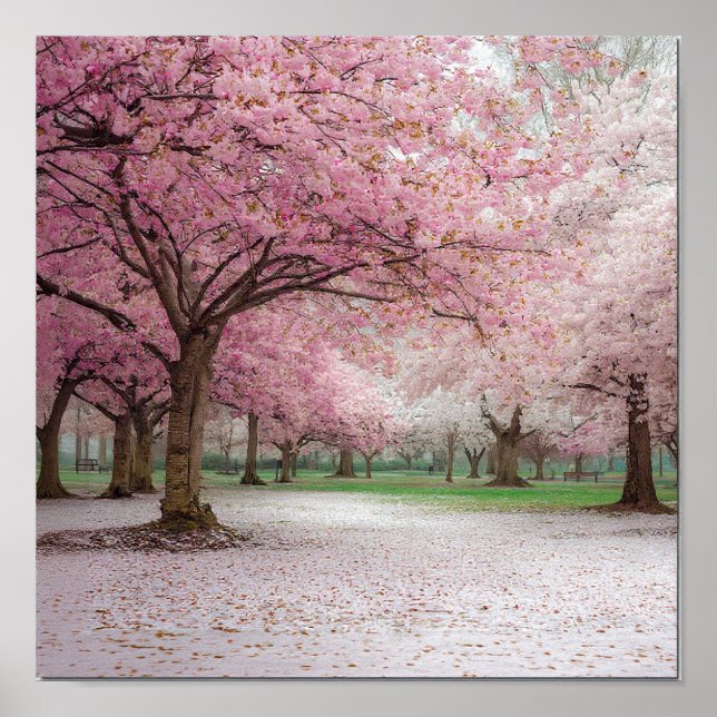 Poster Cherry Blossom Serenity - Peaceful Primavera Park (Frente)
