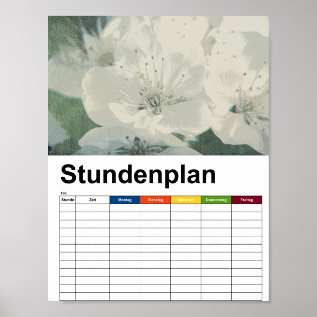 Poster Cherry Blossom Stundenplan (Frente)