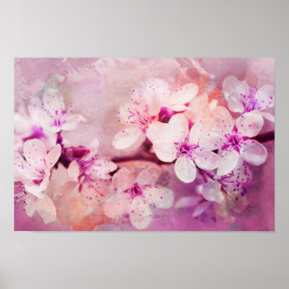 Poster Cherry Blossom Watercolor Art