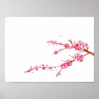Poster Cherry Blossoms