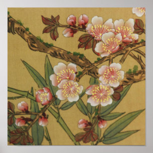 Pôster Cherry Blossoms Arte Japonesa Asiática