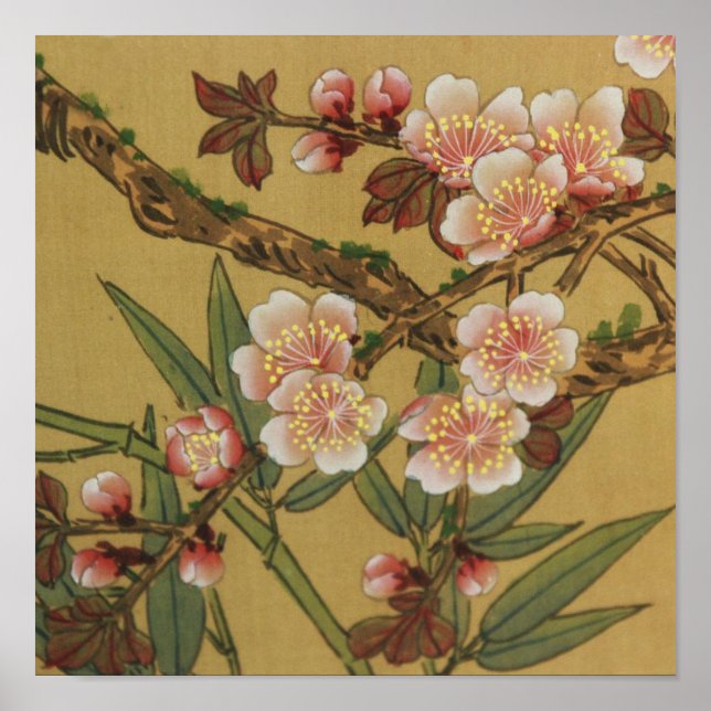 Pôster Cherry Blossoms Arte Japonesa Asiática (Frente)