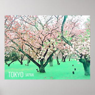 Poster Cherry Blossoms Sakura Tokyo viagem do Japão
