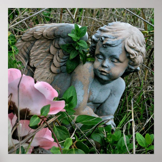 Poster Cherub na grama (Frente)