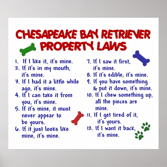 PÔSTER CHESAPEAKE BAY RETRIEVEVER PL2 (Frente)