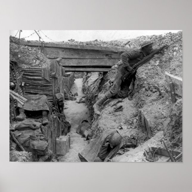 Pôster Cheshire Reg não no Somme (Frente)