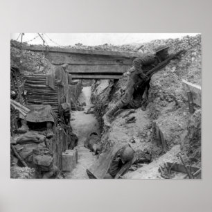 Pôster Cheshire Reg't no Somme