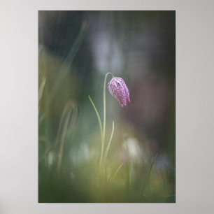 Poster Chess Flower Nature Photo