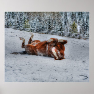 Pôster Chestnut Horse Rolling in Winter Snow Photo