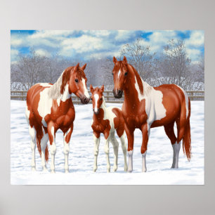 Pôster Chestnut Pinto Sorrel Paint Quarter Hors Em Neve