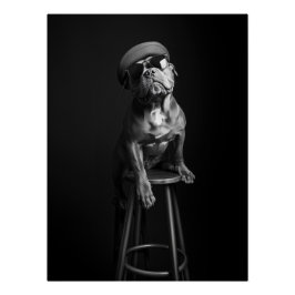 Pôster Chic Dog Portrait - Bulldog in Beret and Shades