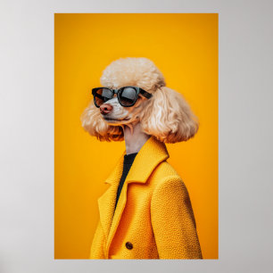 Poster Chic Poodle em óculos escuros e Casaco amarelo