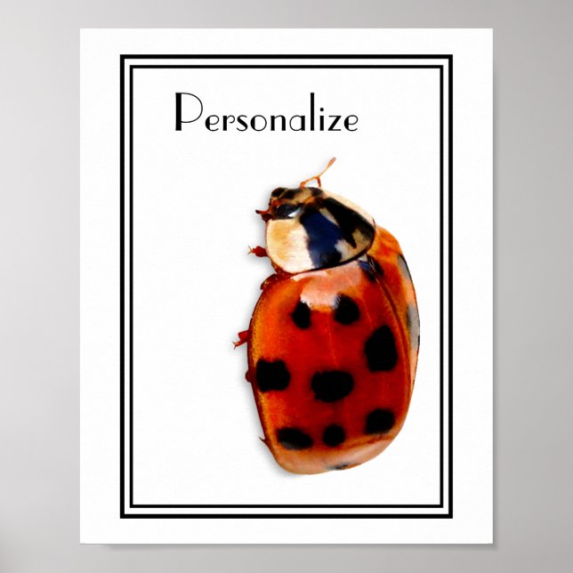 Pôster Chic Spotted Ladybug Com Nome (Frente)