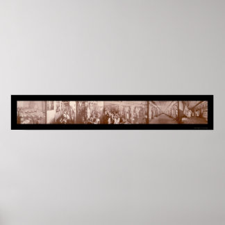 Pôster Chicago, IL Beef Foto 1900