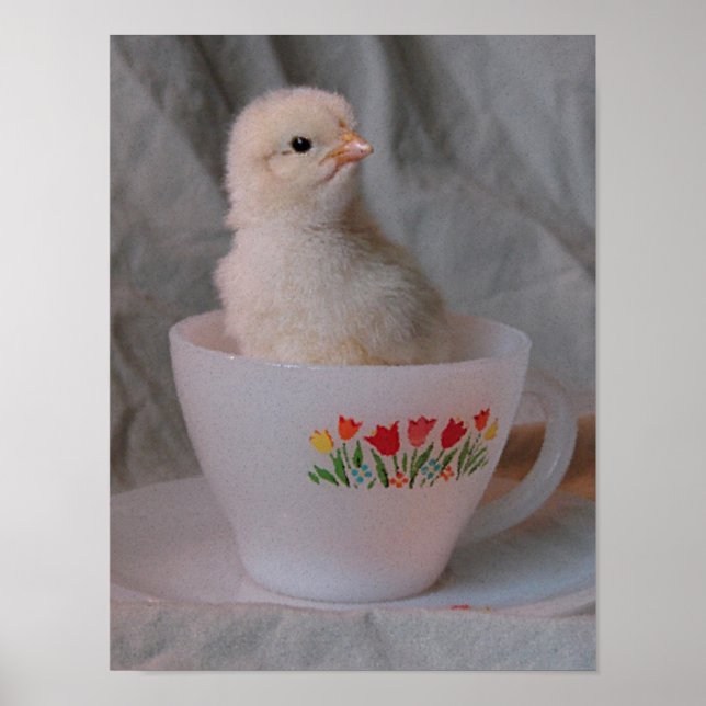 Poster Chick in Vintage Teacup (Frente)