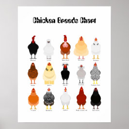 Poster chicken breeds chart