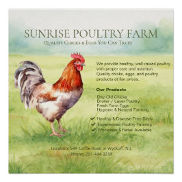 Pôster Chicken Farm Glossy Poster