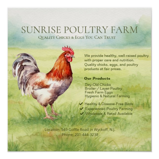 Pôster Chicken Farm Glossy Poster (Frente)