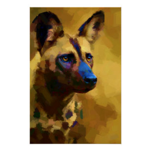 Pôster Chien Sauvage d'Afrique