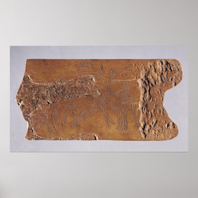 Pôster Chifre de rena talhada com veado e saltando (Frente)