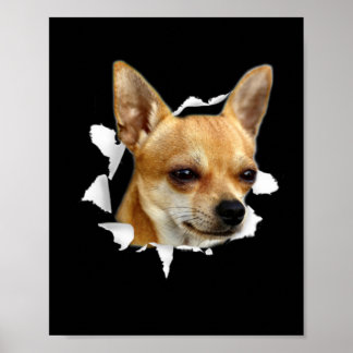 Poster Chihuahua