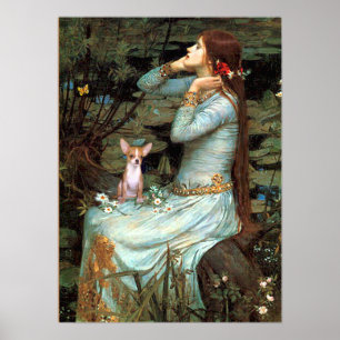 Pôster Chihuahua 1 - Ophelia Seated