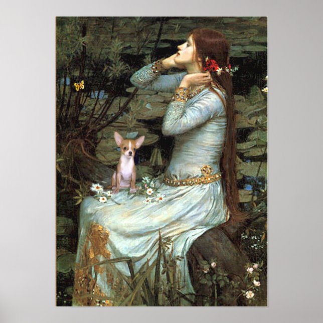 Pôster Chihuahua 1 - Ophelia Seated (Frente)