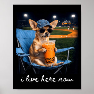 Poster Chihuahua bebe café gelado campo de beisebol ao vi