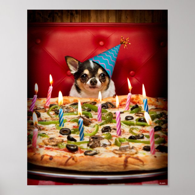 Poster Chihuahua Birthday Pizza Pie (Frente)