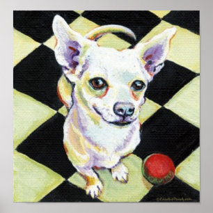 Pôster Chihuahua branca com bola vermelha