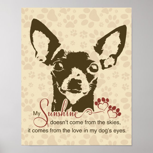 Poster Chihuahua Cachorro Meu Sol (Frente)