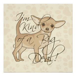 Pôster Chihuahua Eu sou meio que um grande negócio