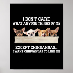 Poster Chihuahua I Don't Care What Anyone Thinks Of Me