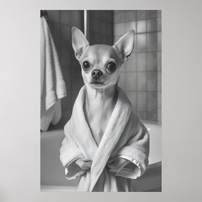 Poster Chihuahua in Bathrobe Art Print, Funny Bathroom (Frente)