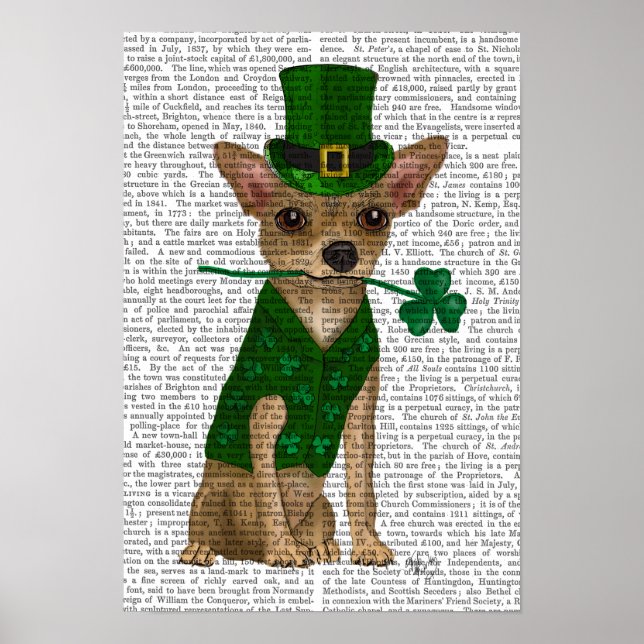 Pôster Chihuahua Leprechaun (Frente)